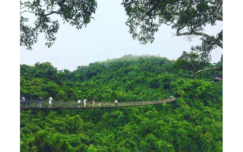 亚龙湾热带天堂森林公园